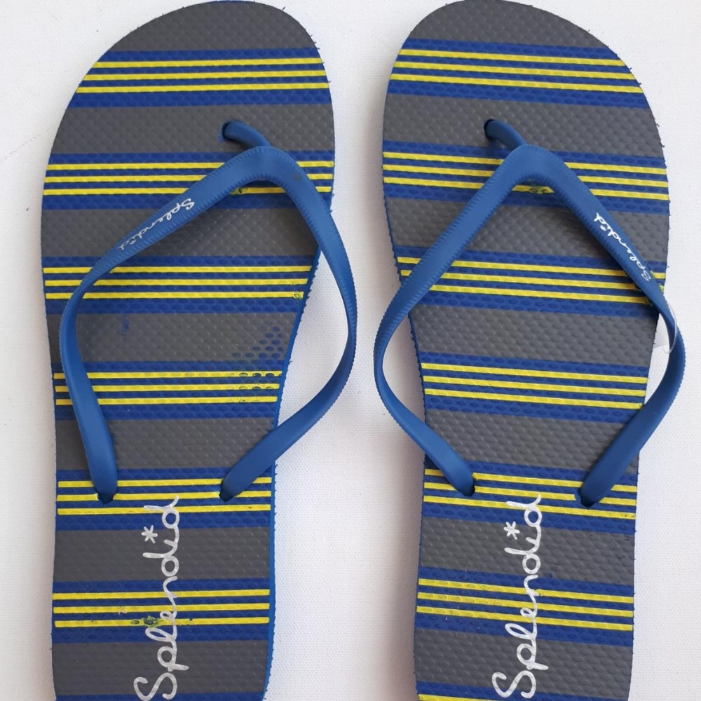 Splendid Striped Flip Flops Blue Multi